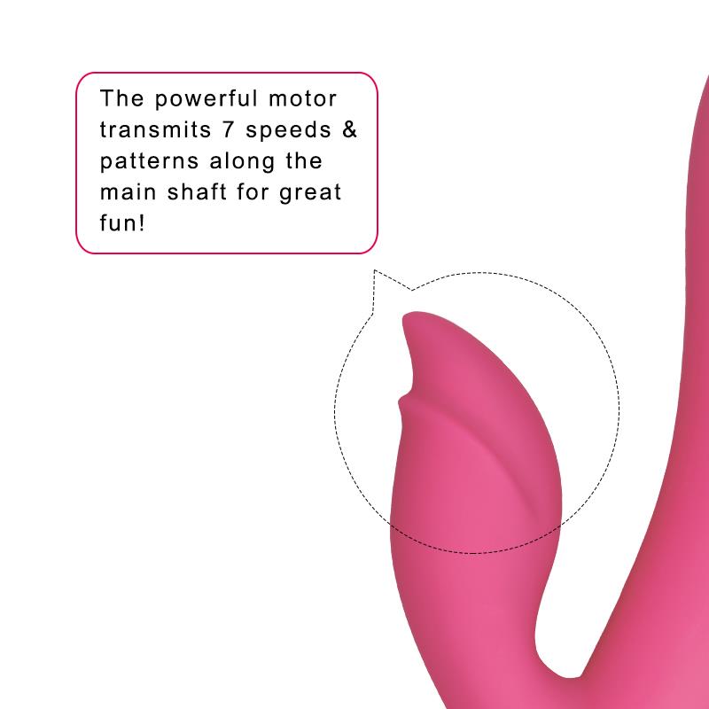 Vibrador Dreamer II USB Rose Red