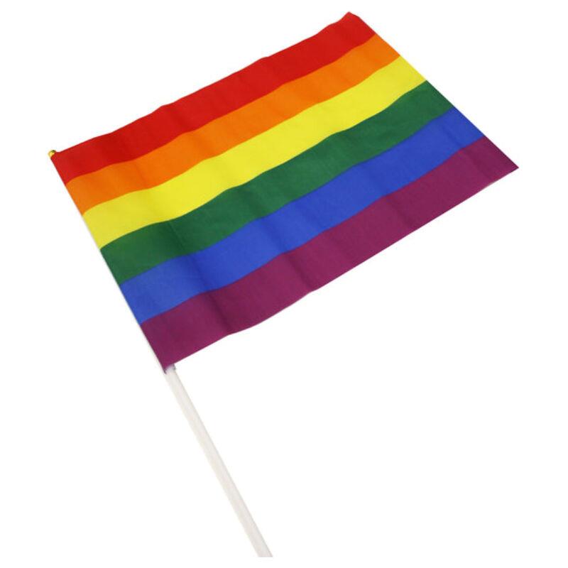 Banderin Grande Colores Bandera LGBT