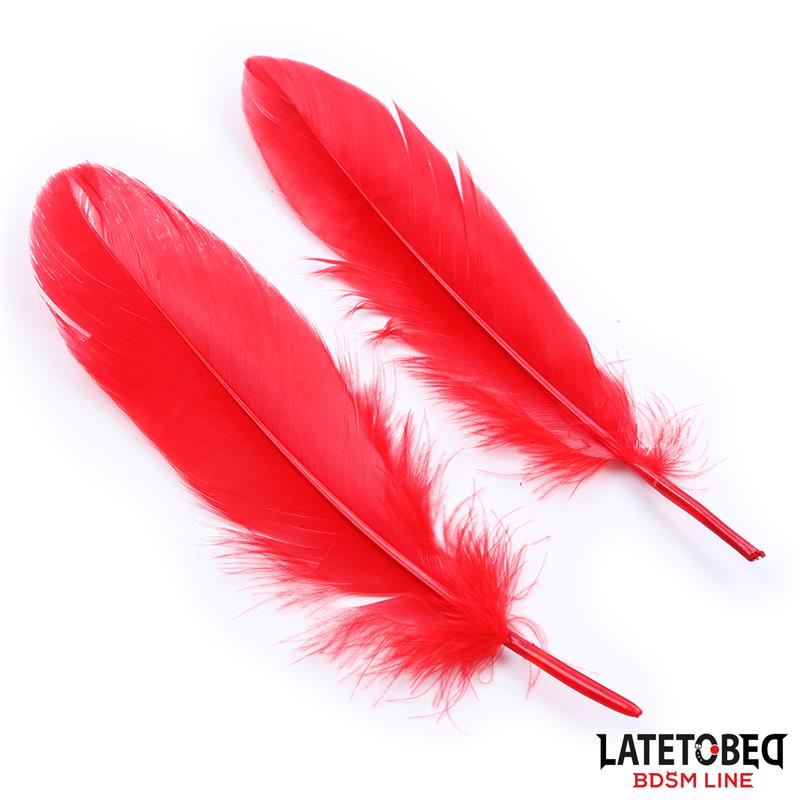 Set de 3 Piezas Antifaz Plumas y Esposas