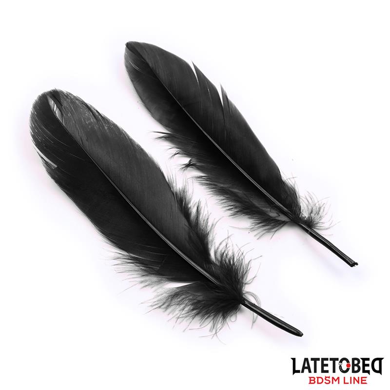 Set de 3 Piezas Antifaz Esposas y Plumas Negro